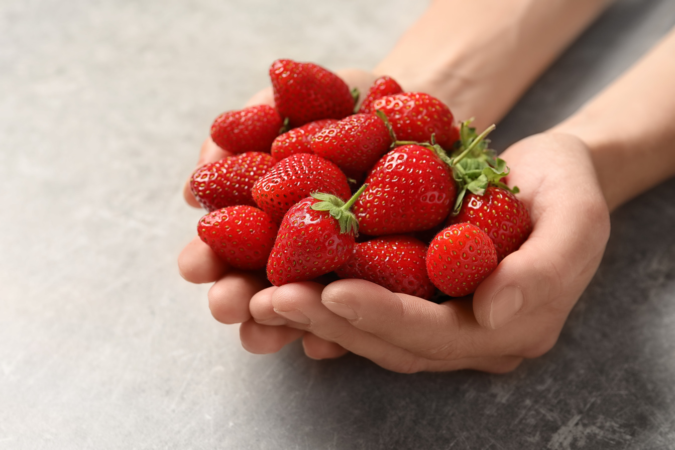 Young Woman Holding Fresh Ripe Strawberries on Grey Background, Closeup